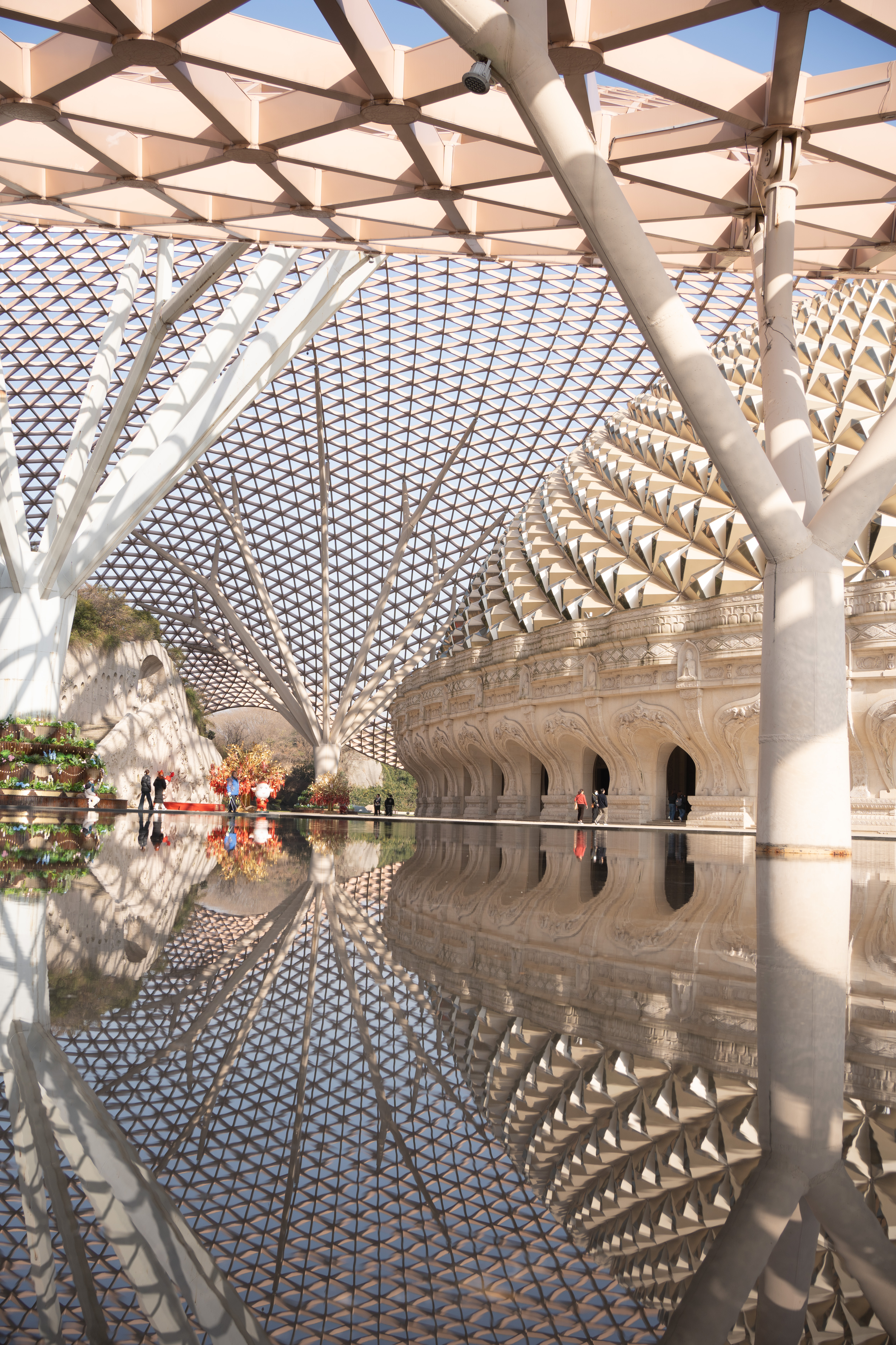 摄影作品 DSC07503