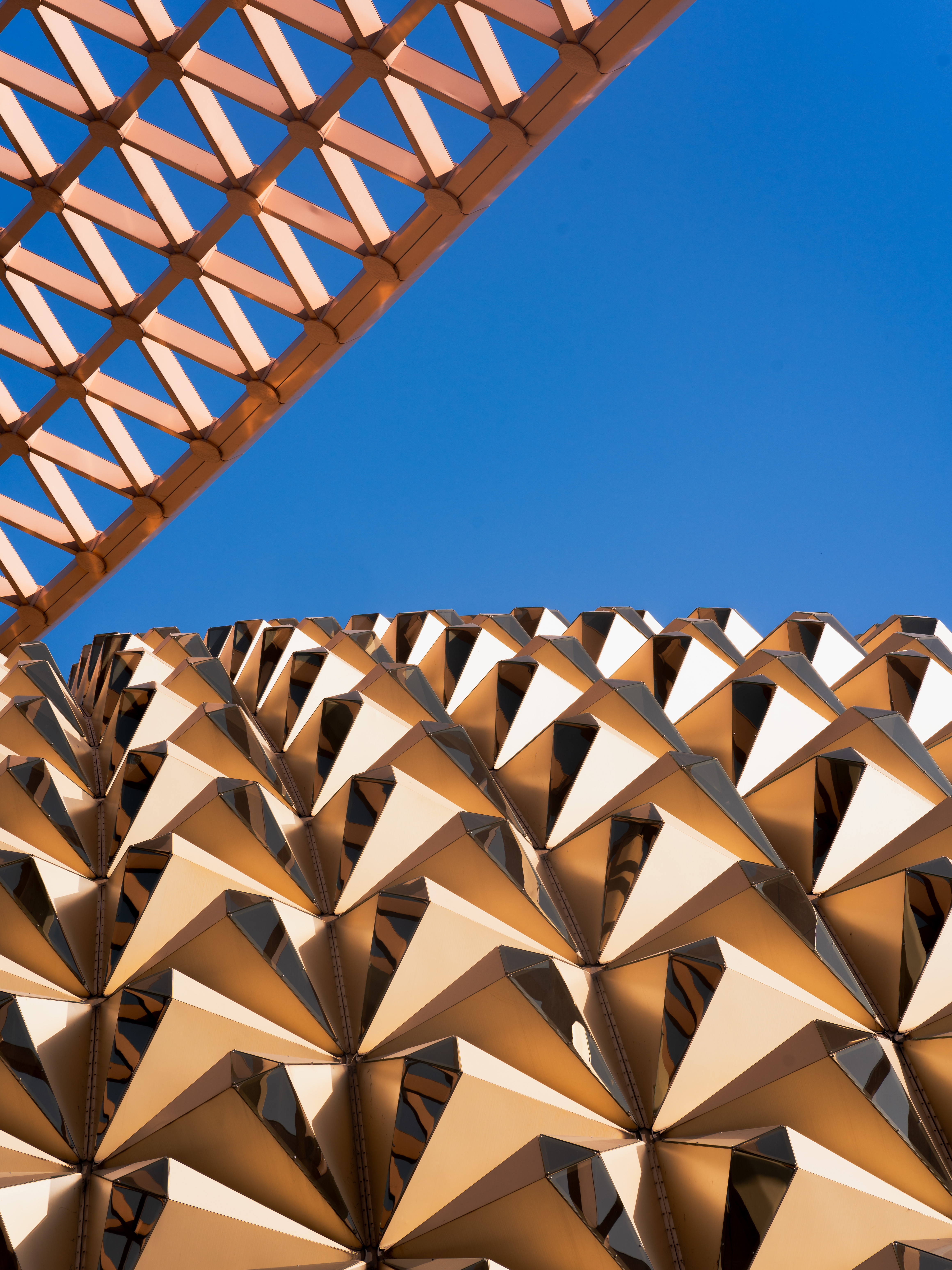 摄影作品 DSC07549