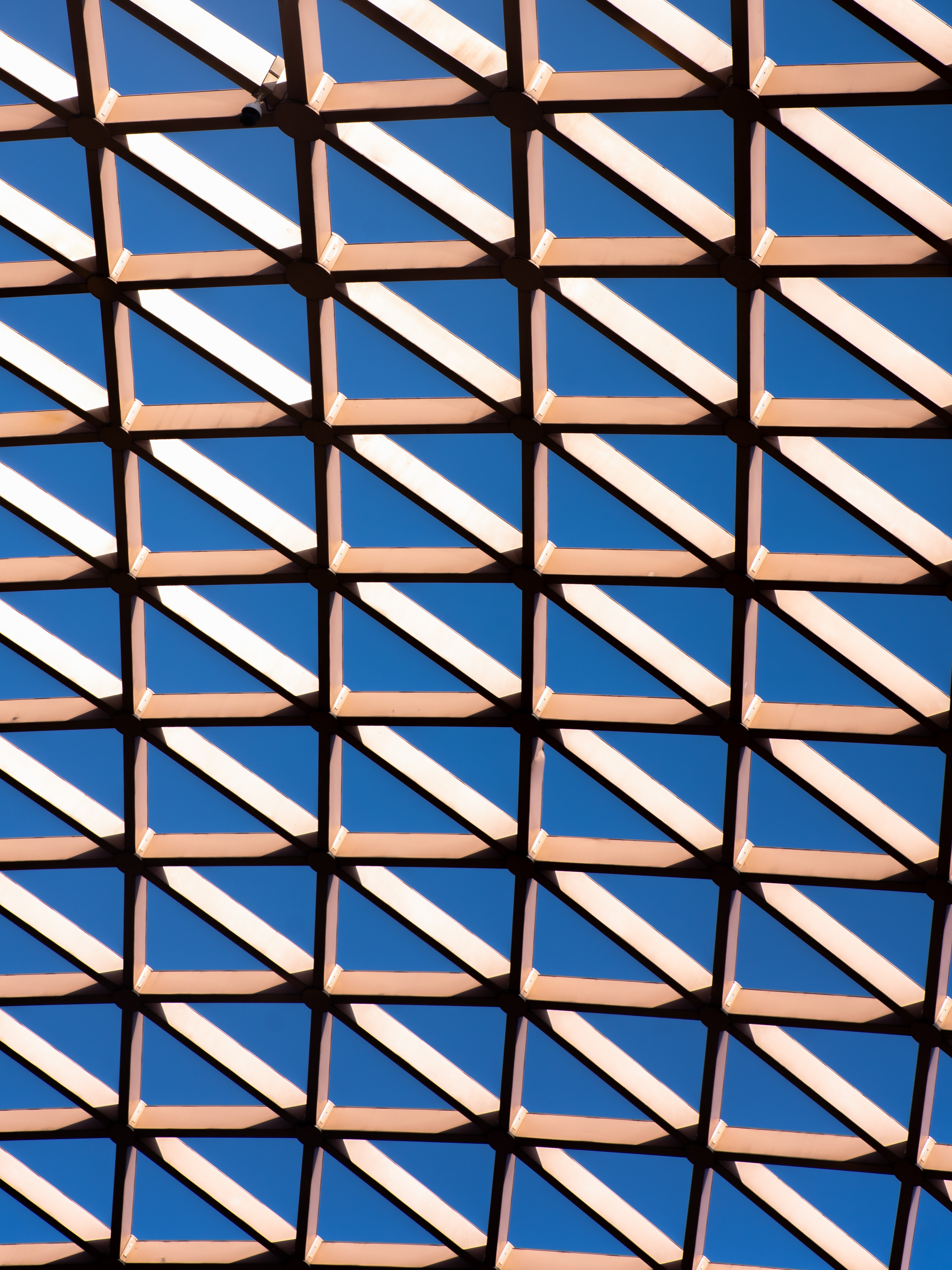 摄影作品 DSC07550