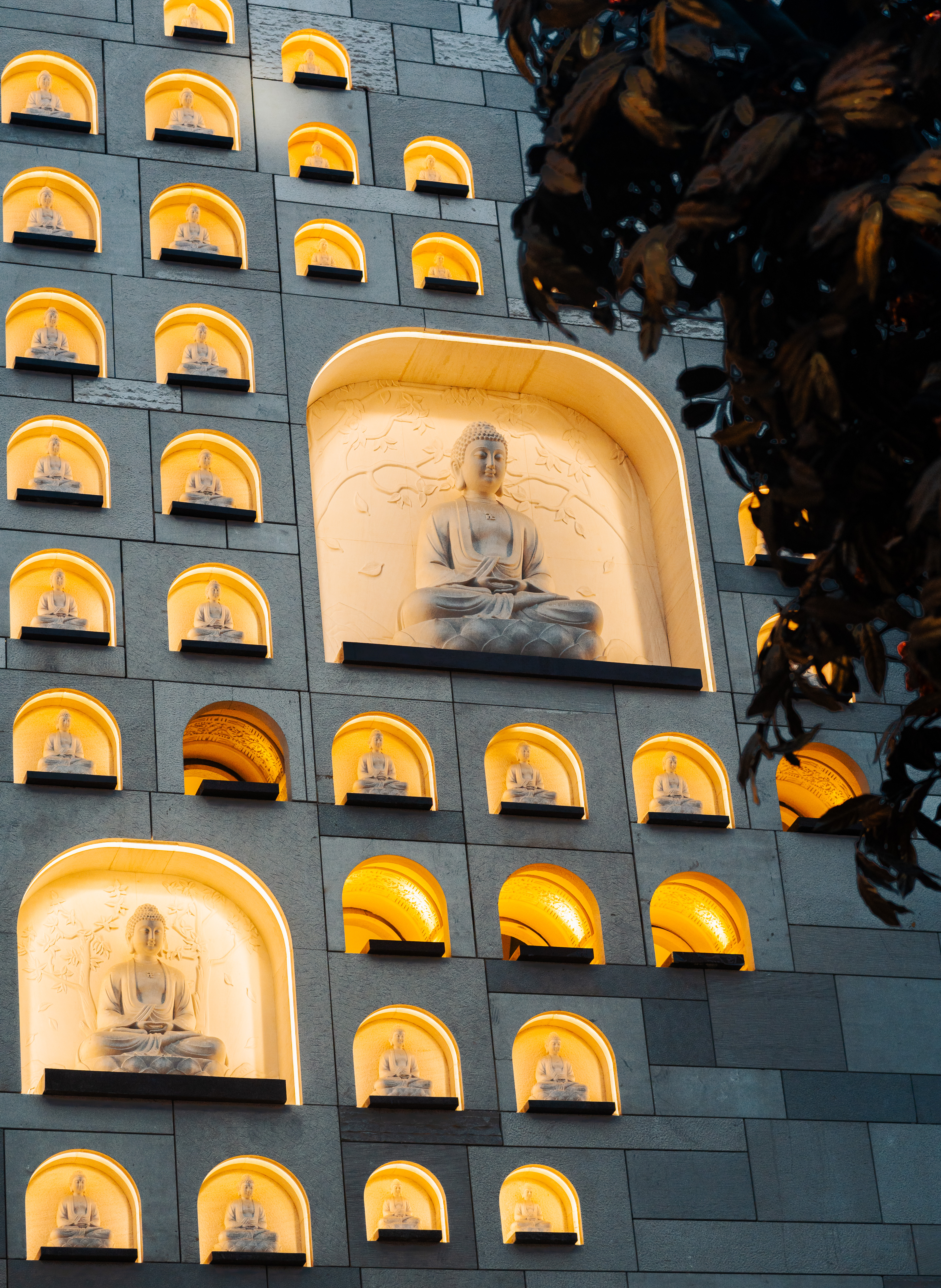 摄影作品 DSC07556