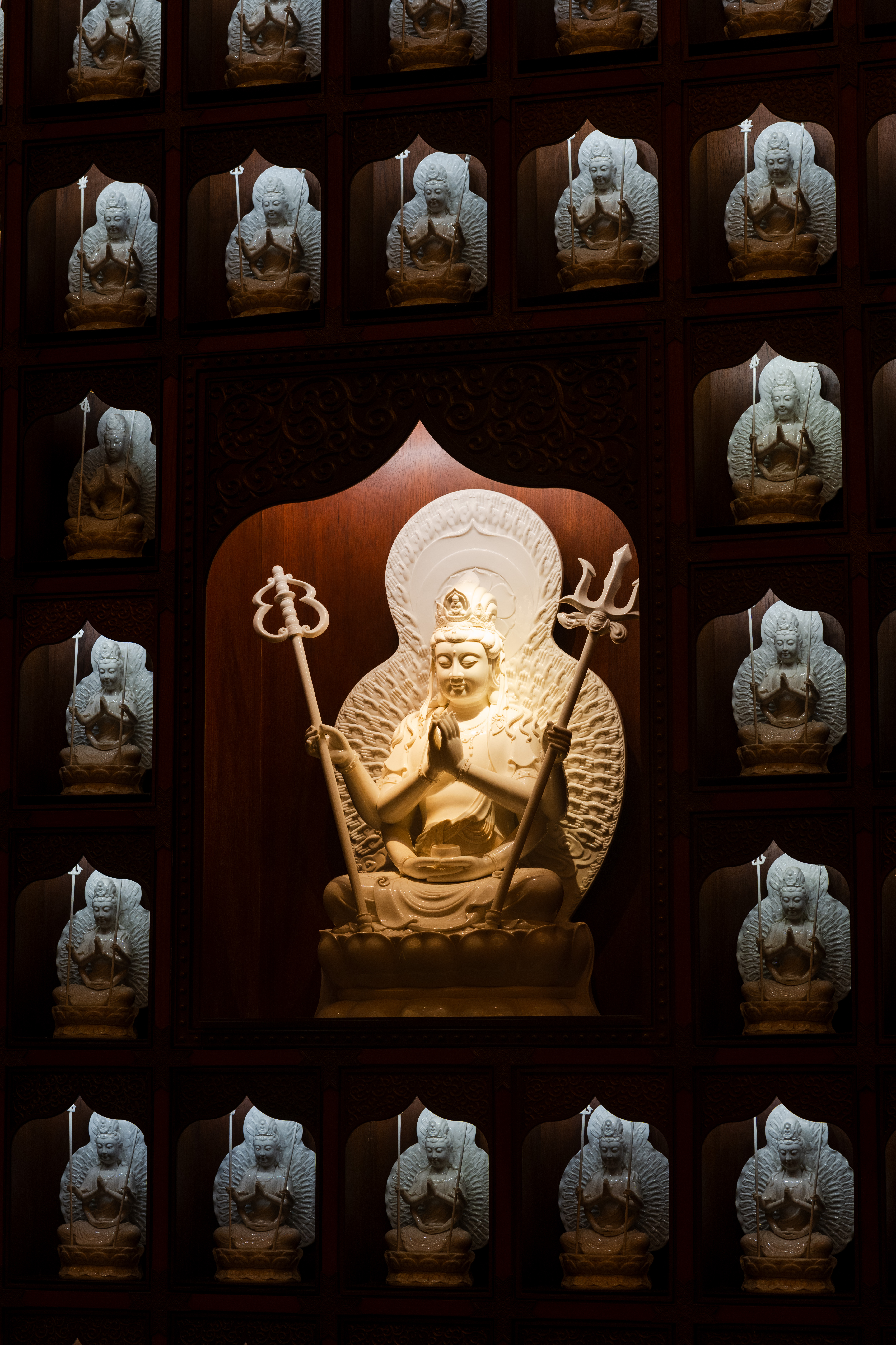 摄影作品 DSC07558